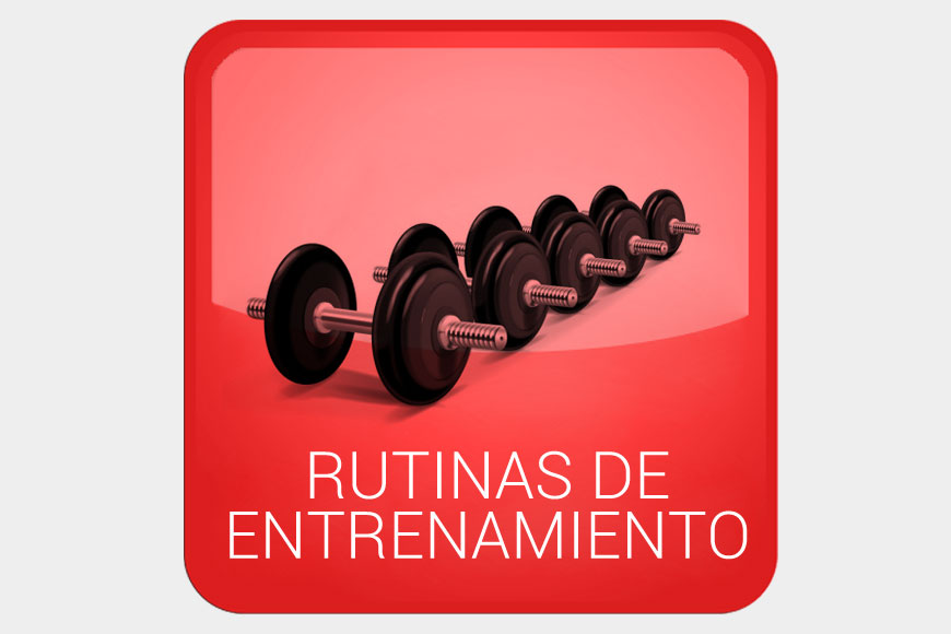 Rutinas de entreno